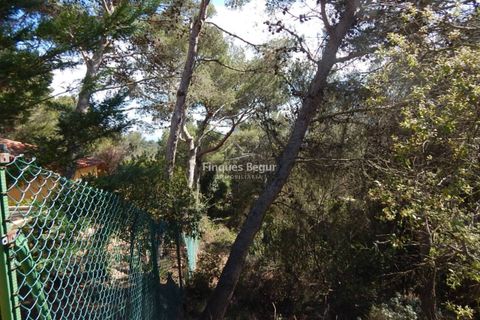 Helårsgrund i Palafrugell, Gerona, Palafrugell - € 280.000 | Ref: 3016 - foto 3