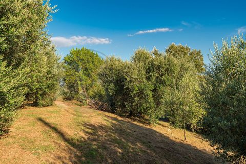 Villa a Ceprano, Frosinone, Ceprano - € 119.000 | Ref: AC99-149-1327 - foto 28