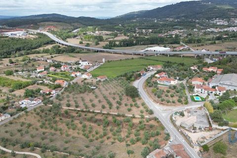 Terra a Penela, Coimbra, Penela - € 70.000 | Ref: 148983 - foto 3