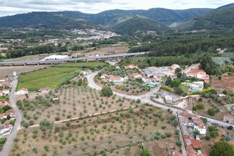 Terra a Penela, Coimbra, Penela - € 70.000 | Ref: 148983 - foto 5