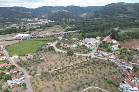 Terra a Penela, Coimbra, Penela - € 70.000 | Ref: 148983 - foto 6