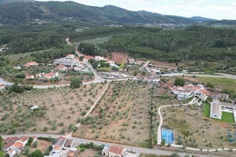 Terra a Penela, Coimbra, Penela - € 70.000 | Ref: 148983 - foto 9