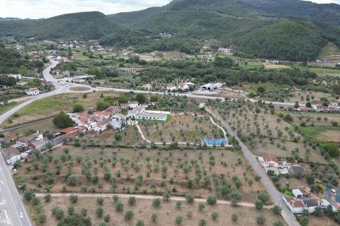 Terra a Penela, Coimbra, Penela - € 70.000 | Ref: 148983 - foto 13