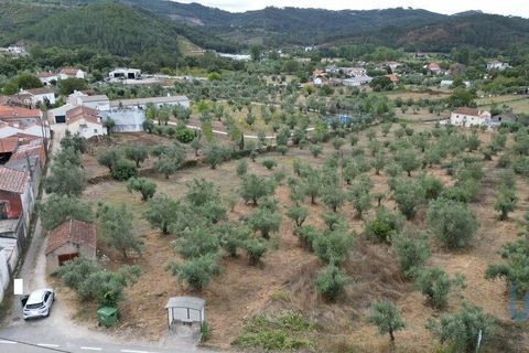 Terra a Penela, Coimbra, Penela - € 70.000 | Ref: 148983 - foto 14