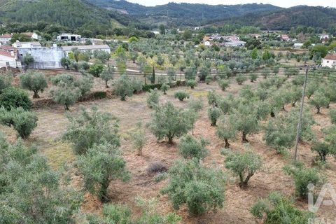Terra a Penela, Coimbra, Penela - € 70.000 | Ref: 148983 - foto 15