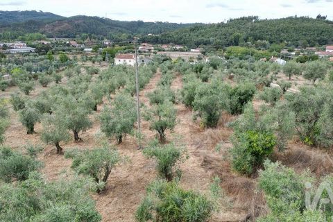 Terra a Penela, Coimbra, Penela - € 70.000 | Ref: 148983 - foto 16