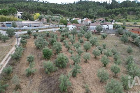 Terra a Penela, Coimbra, Penela - € 70.000 | Ref: 148983 - foto 17