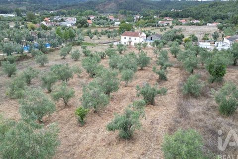 Terra a Penela, Coimbra, Penela - € 70.000 | Ref: 148983 - foto 18