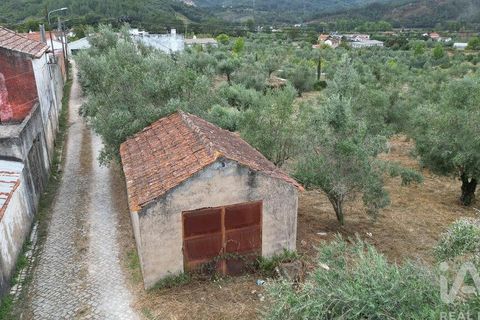 Terra a Penela, Coimbra, Penela - € 70.000 | Ref: 148983 - foto 19