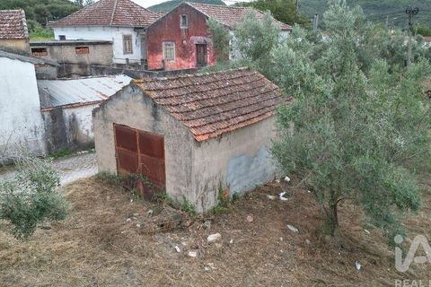 Terra a Penela, Coimbra, Penela - € 70.000 | Ref: 148983 - foto 20