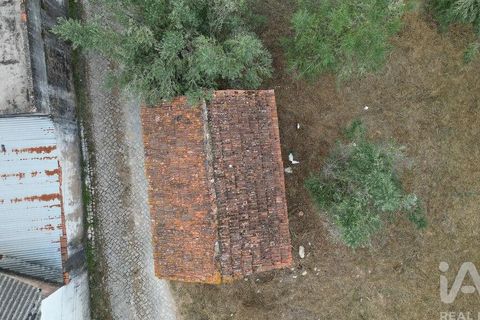 Terra a Penela, Coimbra, Penela - € 70.000 | Ref: 148983 - foto 21