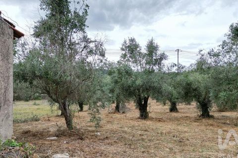 Terra a Penela, Coimbra, Penela - € 70.000 | Ref: 148983 - foto 22