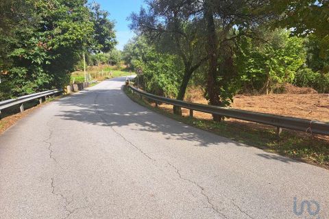 Terra a Vila Verde, Braga, Vila Verde - € 24.900 | Ref: 149090 - foto 2
