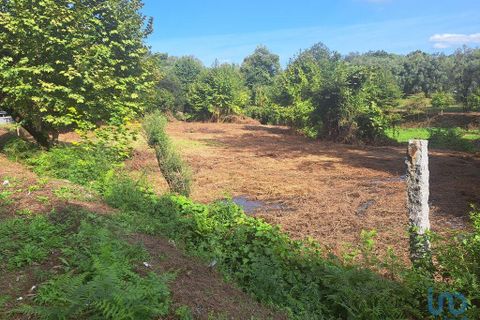 Terra a Vila Verde, Braga, Vila Verde - € 24.900 | Ref: 149090 - foto 3