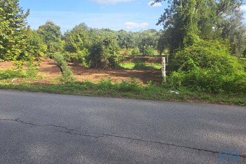 Terra a Vila Verde, Braga, Vila Verde - € 24.900 | Ref: 149090 - foto 4