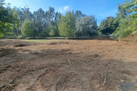 Terra a Vila Verde, Braga, Vila Verde - € 24.900 | Ref: 149090 - foto 6