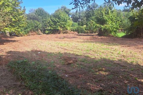 Terra a Vila Verde, Braga, Vila Verde - € 24.900 | Ref: 149090 - foto 8