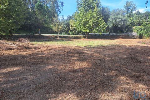 Terra a Vila Verde, Braga, Vila Verde - € 24.900 | Ref: 149090 - foto 9