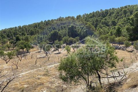 Landejendom i Velez-Blanco, Almeria, Velez-Blanco - € 475.000 | Ref: VH2621 - foto 37