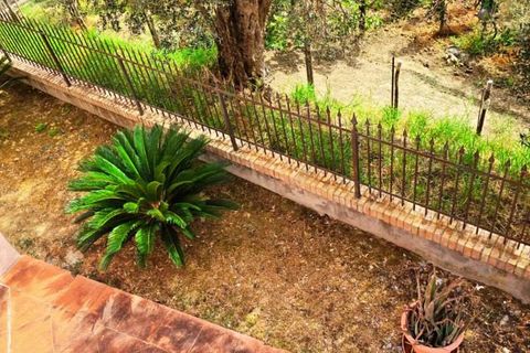 Byhus i Belvedere Marittimo, Cosenza, Belvedere Marittimo - € 260.000 | Ref: 1342 - foto 6