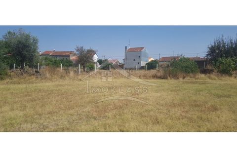 Helårsgrund i Castelo Branco, Castelo Branco, Castelo Branco - € 50.000 | Ref: TER_166 - foto 4