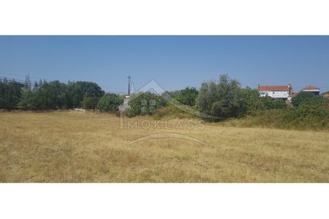 Helårsgrund i Castelo Branco, Castelo Branco, Castelo Branco - € 50.000 | Ref: TER_166 - foto 5