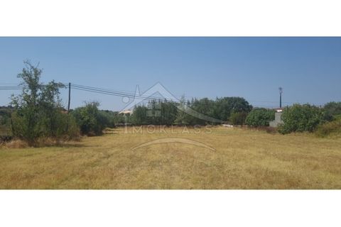 Helårsgrund i Castelo Branco, Castelo Branco, Castelo Branco - € 50.000 | Ref: TER_166 - foto 6
