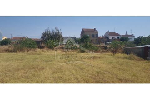 Helårsgrund i Castelo Branco, Castelo Branco, Castelo Branco - € 50.000 | Ref: TER_166 - foto 7