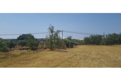 Helårsgrund i Castelo Branco, Castelo Branco, Castelo Branco - € 50.000 | Ref: TER_166 - foto 8