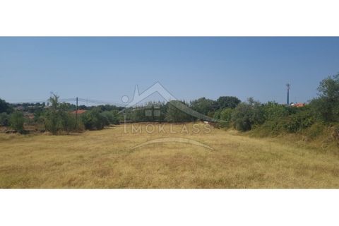Helårsgrund i Castelo Branco, Castelo Branco, Castelo Branco - € 50.000 | Ref: TER_166 - foto 9