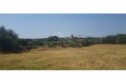 Helårsgrund i Castelo Branco, Castelo Branco, Castelo Branco - € 50.000 | Ref: TER_166 - foto 11