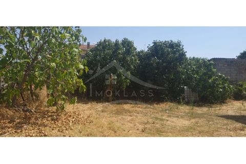Helårsgrund i Castelo Branco, Castelo Branco, Castelo Branco - € 50.000 | Ref: TER_166 - foto 12