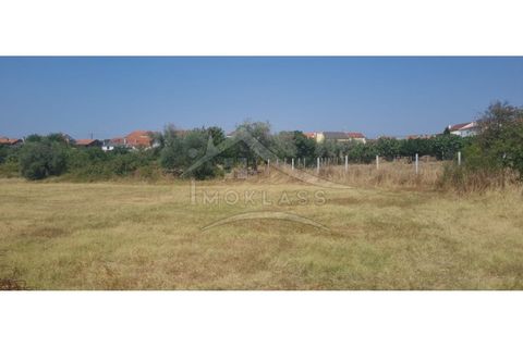 Helårsgrund i Castelo Branco, Castelo Branco, Castelo Branco - € 50.000 | Ref: TER_166 - foto 13