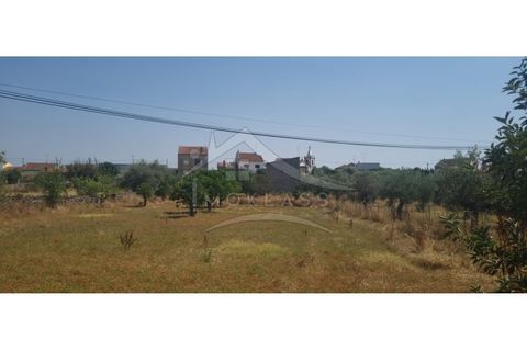 Helårsgrund i Castelo Branco, Castelo Branco, Castelo Branco - € 50.000 | Ref: TER_166 - foto 16