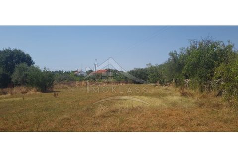 Helårsgrund i Castelo Branco, Castelo Branco, Castelo Branco - € 50.000 | Ref: TER_166 - foto 18