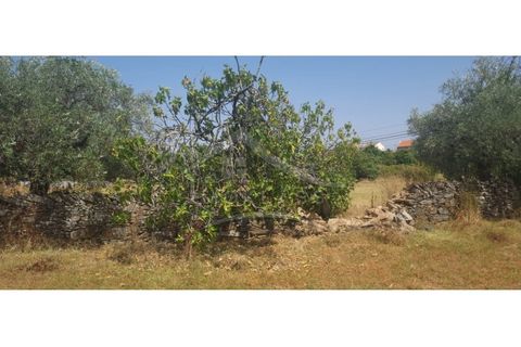 Helårsgrund i Castelo Branco, Castelo Branco, Castelo Branco - € 50.000 | Ref: TER_166 - foto 19