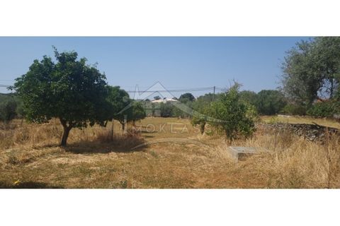 Helårsgrund i Castelo Branco, Castelo Branco, Castelo Branco - € 50.000 | Ref: TER_166 - foto 20