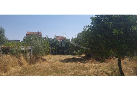 Helårsgrund i Castelo Branco, Castelo Branco, Castelo Branco - € 50.000 | Ref: TER_166 - foto 21