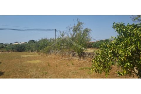 Helårsgrund i Castelo Branco, Castelo Branco, Castelo Branco - € 50.000 | Ref: TER_166 - foto 22