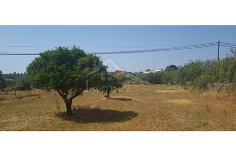Helårsgrund i Castelo Branco, Castelo Branco, Castelo Branco - € 50.000 | Ref: TER_166 - foto 23