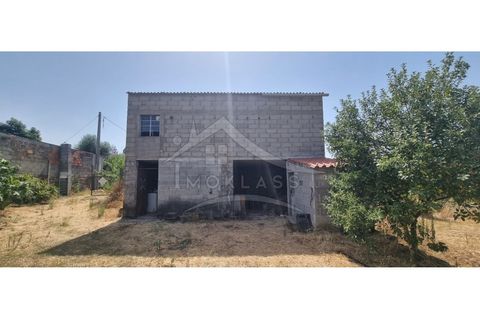 Helårsgrund i Castelo Branco, Castelo Branco, Castelo Branco - € 50.000 | Ref: TER_166 - foto 24