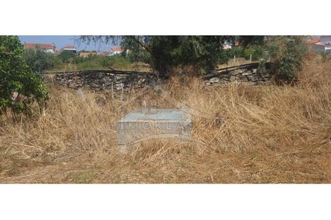 Helårsgrund i Castelo Branco, Castelo Branco, Castelo Branco - € 50.000 | Ref: TER_166 - foto 25