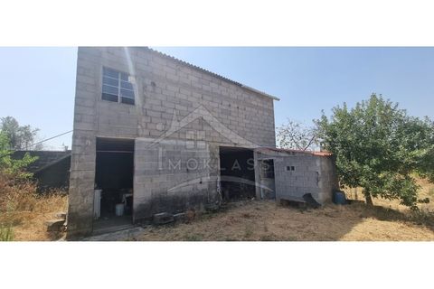 Helårsgrund i Castelo Branco, Castelo Branco, Castelo Branco - € 50.000 | Ref: TER_166 - foto 26
