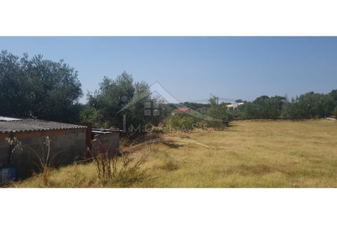 Helårsgrund i Castelo Branco, Castelo Branco, Castelo Branco - € 50.000 | Ref: TER_166 - foto 43