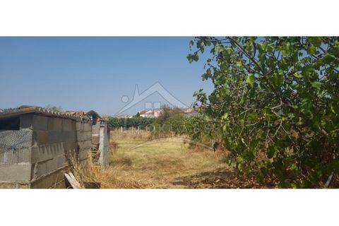 Helårsgrund i Castelo Branco, Castelo Branco, Castelo Branco - € 50.000 | Ref: TER_166 - foto 44