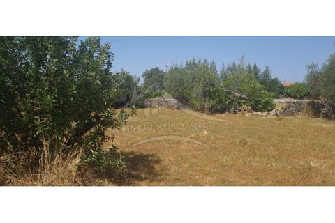 Helårsgrund i Castelo Branco, Castelo Branco, Castelo Branco - € 50.000 | Ref: TER_166 - foto 45