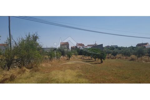 Helårsgrund i Castelo Branco, Castelo Branco, Castelo Branco - € 50.000 | Ref: TER_166 - foto 47