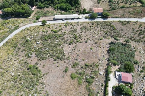 Terra a Altofonte, Palermo, Altofonte - € 5.000 | Ref: 3765 - foto 2