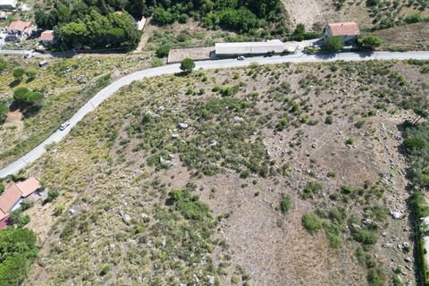 Terra a Altofonte, Palermo, Altofonte - € 5.000 | Ref: 3765 - foto 4
