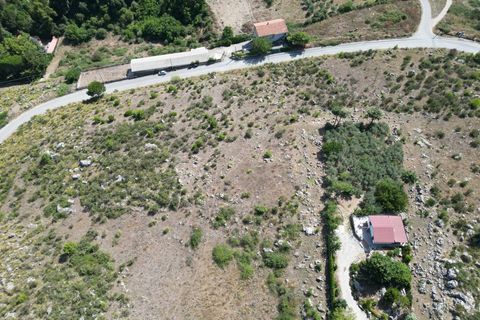 Terra a Altofonte, Palermo, Altofonte - € 5.000 | Ref: 3765 - foto 9